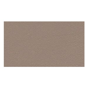 Taupe Ral 1019