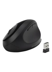 Pro Fit Ergo wireless computer mouse black